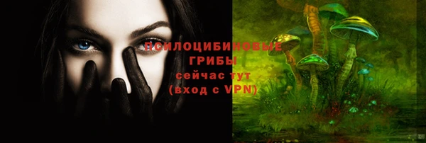 хмурый Белоозёрский