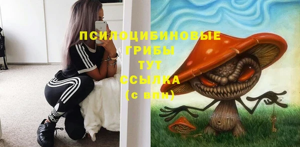 хмурый Белоозёрский